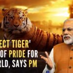 PM Modi while taking note of the rising numbers of tigers said that this was a moment of pride