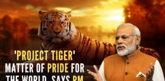 PM Modi while taking note of the rising numbers of tigers said that this was a moment of pride