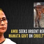 AWBI directs state officials concerned to ensure that horses are provided with necessary medical care, removed from the trade, and rehabilitated as required