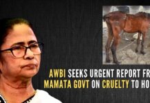 AWBI directs state officials concerned to ensure that horses are provided with necessary medical care, removed from the trade, and rehabilitated as required