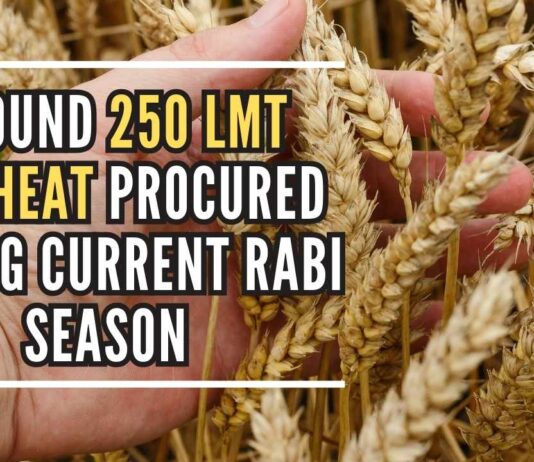 The current wheat procurement crossed last year's total procurement of 188 LMT