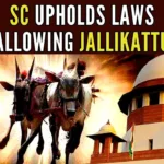Apex Court dismissed all the pleas that challenged the validity of the states' laws allowing the Jallikattu festival, bullock-cart races