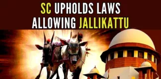 Apex Court dismissed all the pleas that challenged the validity of the states' laws allowing the Jallikattu festival, bullock-cart races