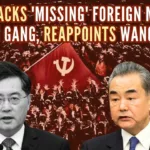 Chinese Foreign Minister Qin Gang was removed from office after being missing for the past month amid affair rumours
