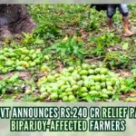 Cyclone Biparjoy caused the complete uprooting or partial destruction of numerous fruit trees during its landfall