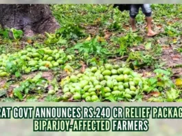Cyclone Biparjoy caused the complete uprooting or partial destruction of numerous fruit trees during its landfall