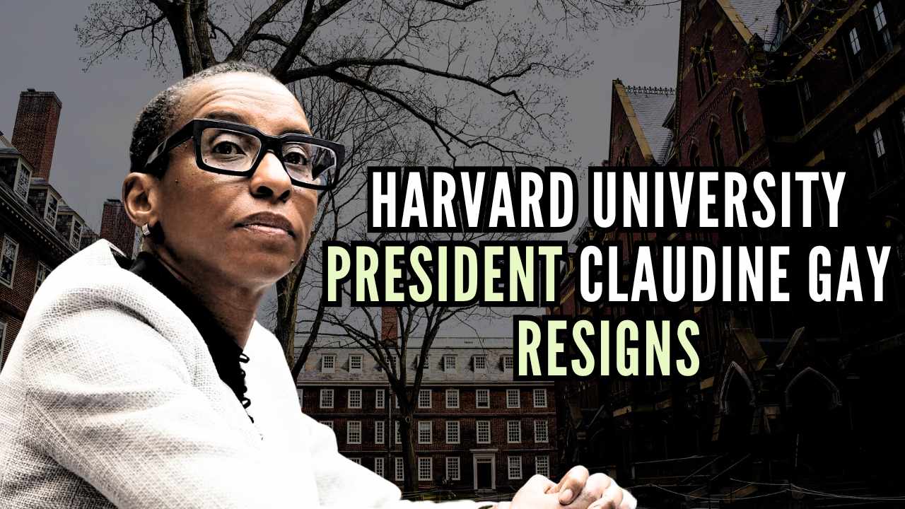 Why has Claudine Gay resigned as president of Harvard?, Education News