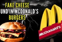 Fast food chain McDonald’s is under the Maharashtra FDA’s scanner for using fake cheese in burgers instead of actual cheese