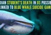 The "Blue Whale Challenge" is an online game in which participants are given a dare to perform