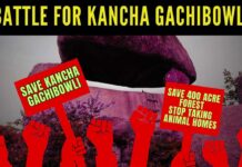 With multiple hearings scheduled and legal accountability looming over the state administration, the Kancha Gachibowli case has become a high-stakes test of environmental governance in Telangana
