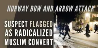 The suspect acted alone during attacks in Kongsberg, which killed at least five people